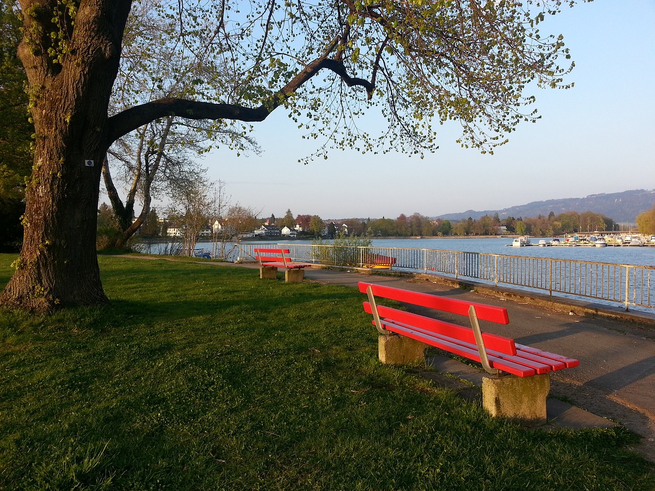 各队在战术 各队在战术