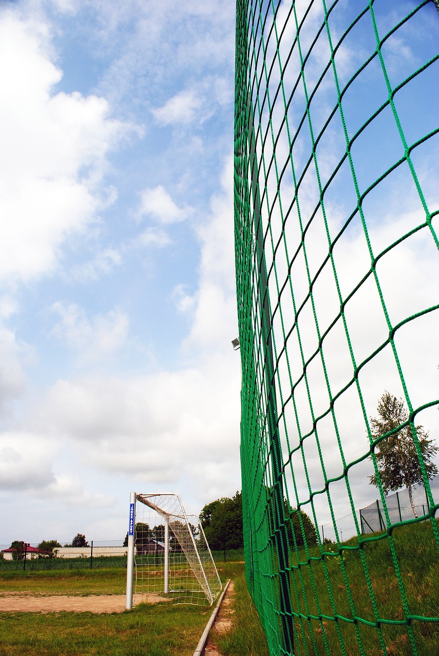 更是心理和 更是心理和