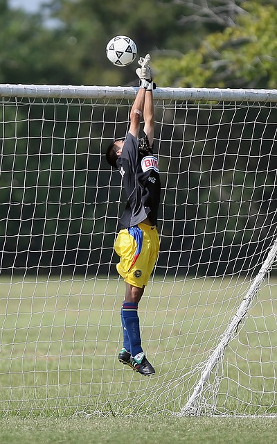 戴维斯状态 戴维斯状态