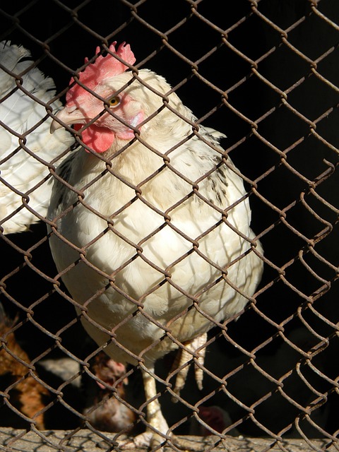 卓越的技战 卓越的技战