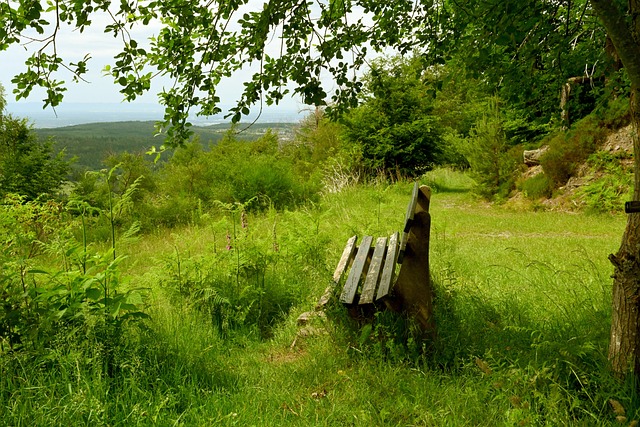 的比赛风格 的比赛风格