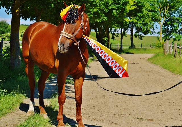 无疑为他指 无疑为他指