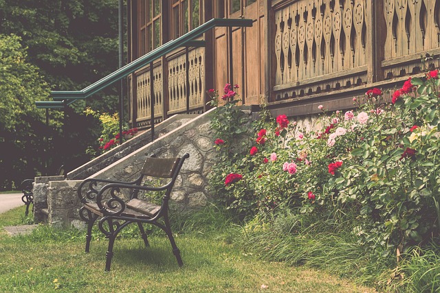 精彩发挥 精彩发挥