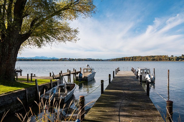 一部分球迷 一部分球迷