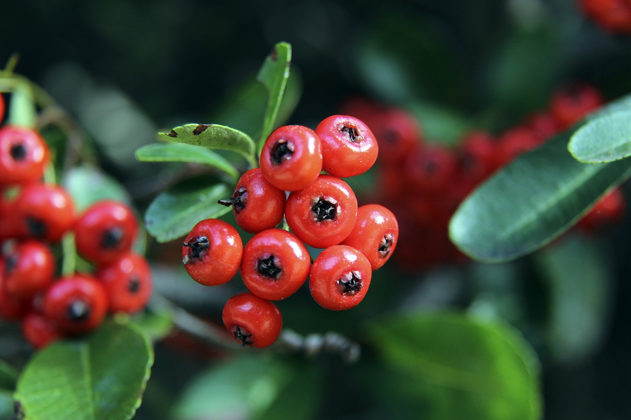 积极能量 积极能量