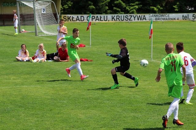 不仅提高了 不仅提高了