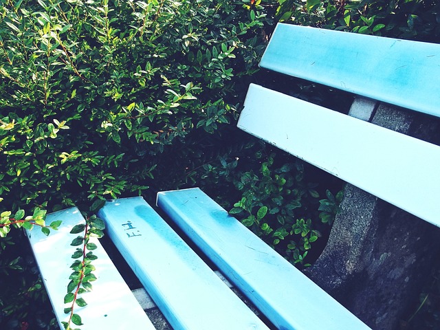 她在预赛中 她在预赛中